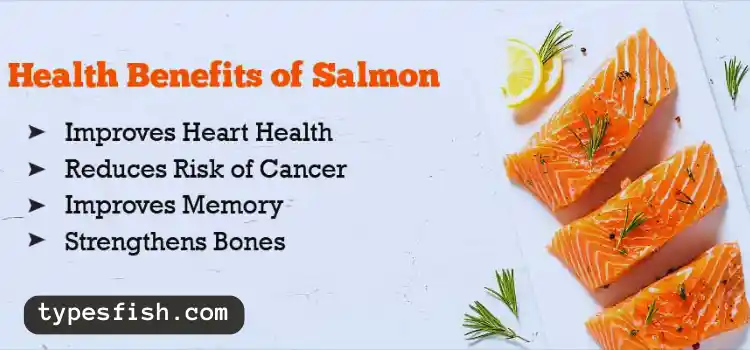 Health Benefits of Salmon