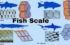 Types of Scales in Fishes: All You Need to Know